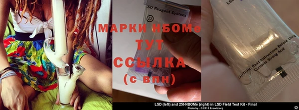 прущие грибы Алексин