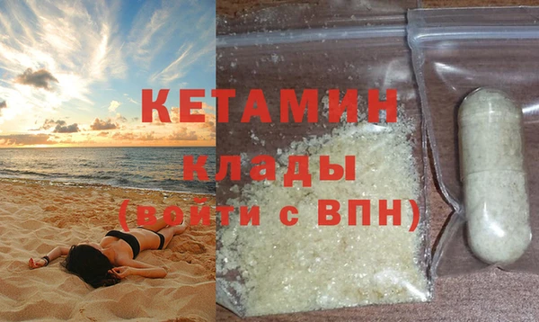 шишки Абаза