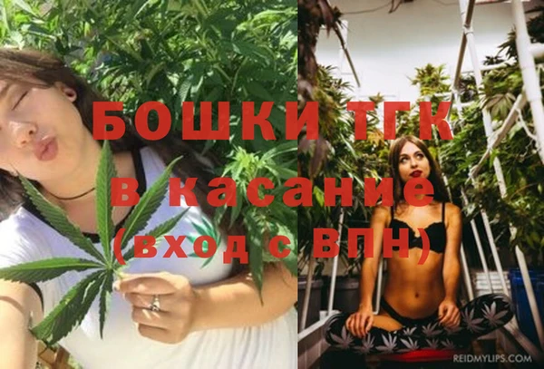 сатива Абдулино