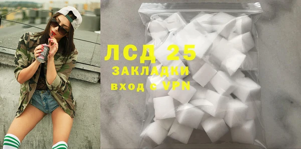 шишки Абаза