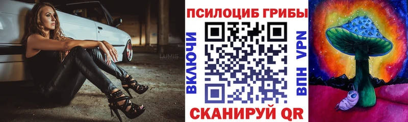 наркошоп  Сочи  Псилоцибиновые грибы ЛСД 